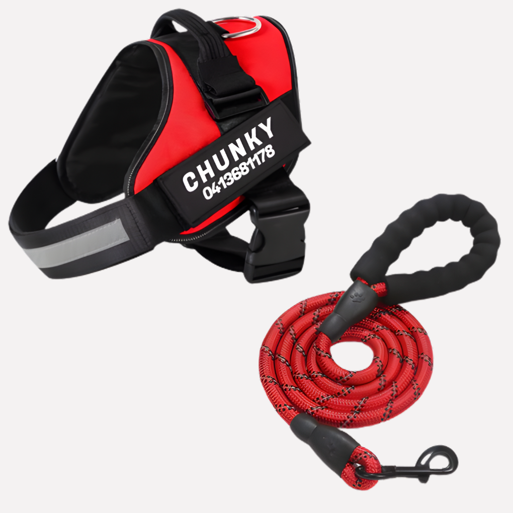 Personalized No-Pull Dog Harness with Front Clip | Ka-mostore