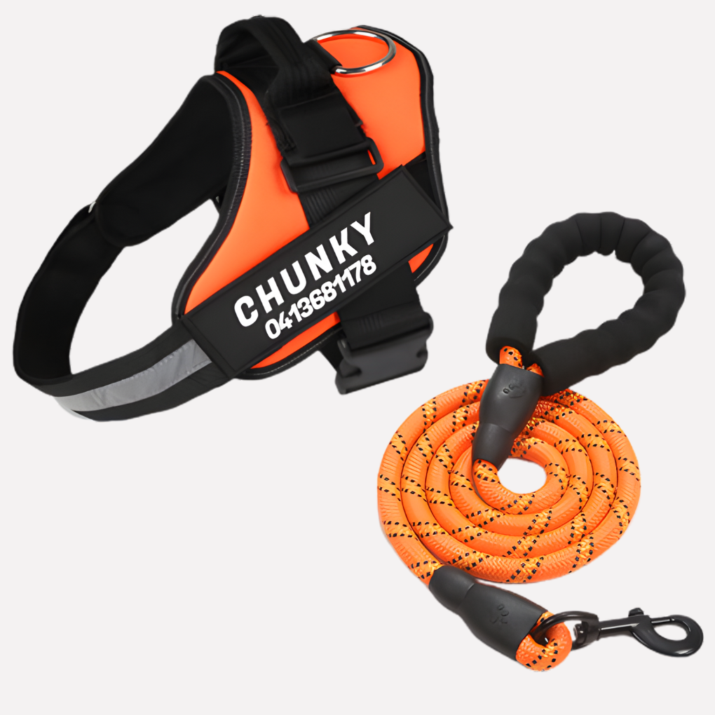 Personalized No-Pull Dog Harness with Front Clip | Ka-mostore