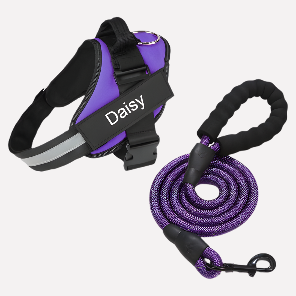 Personalized No-Pull Dog Harness with Front Clip | Ka-mostore