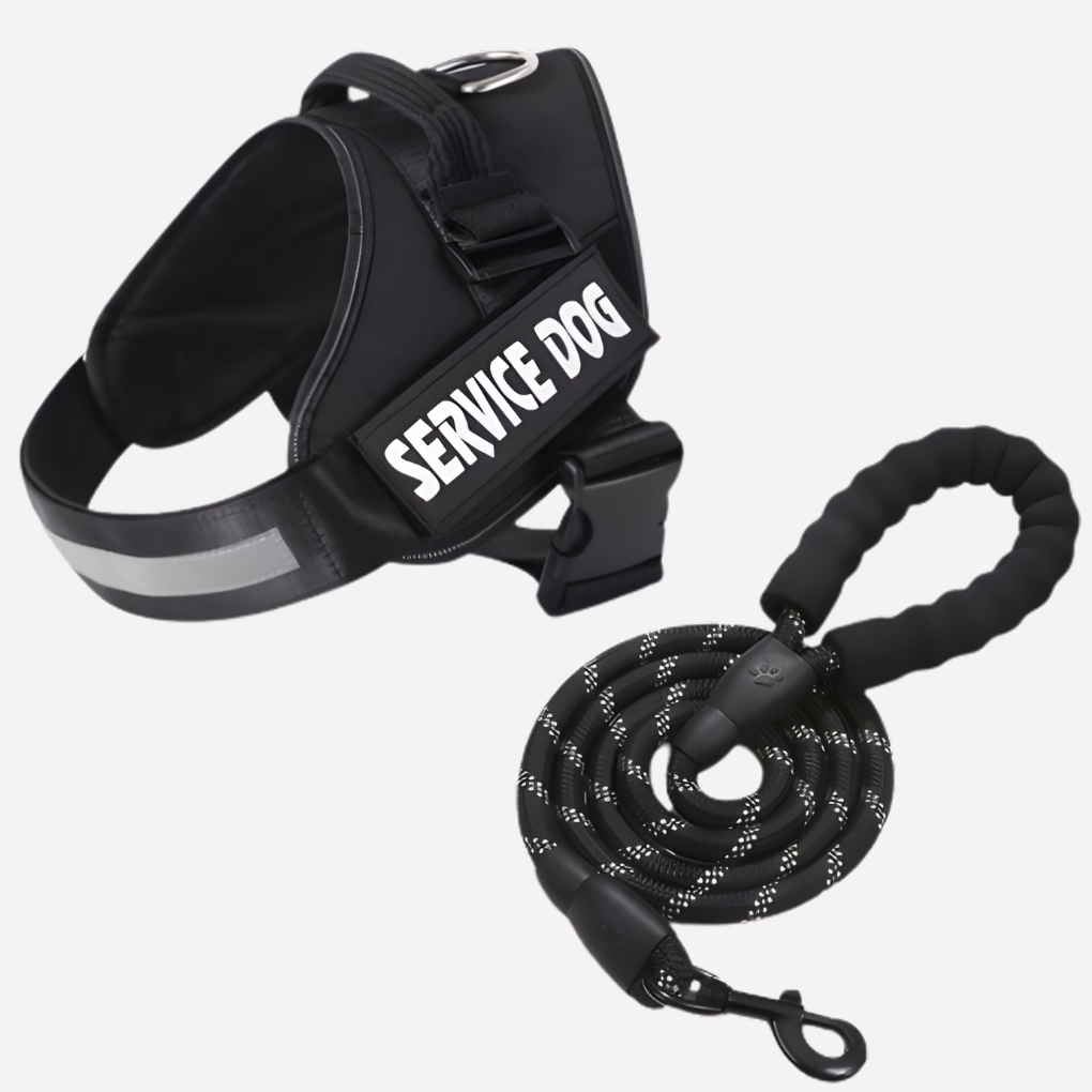 Personalized No-Pull Dog Harness with Front Clip | Ka-mostore