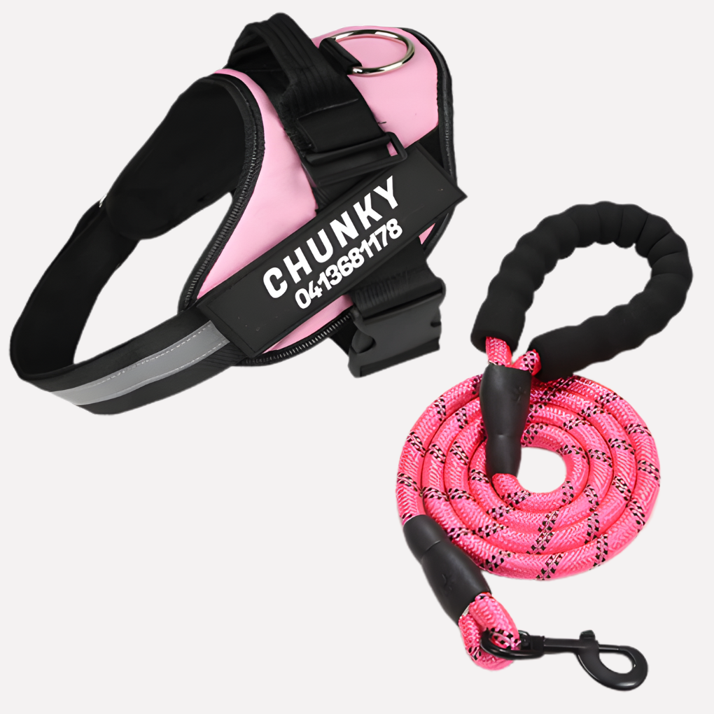 Personalized No-Pull Dog Harness with Front Clip | Ka-mostore