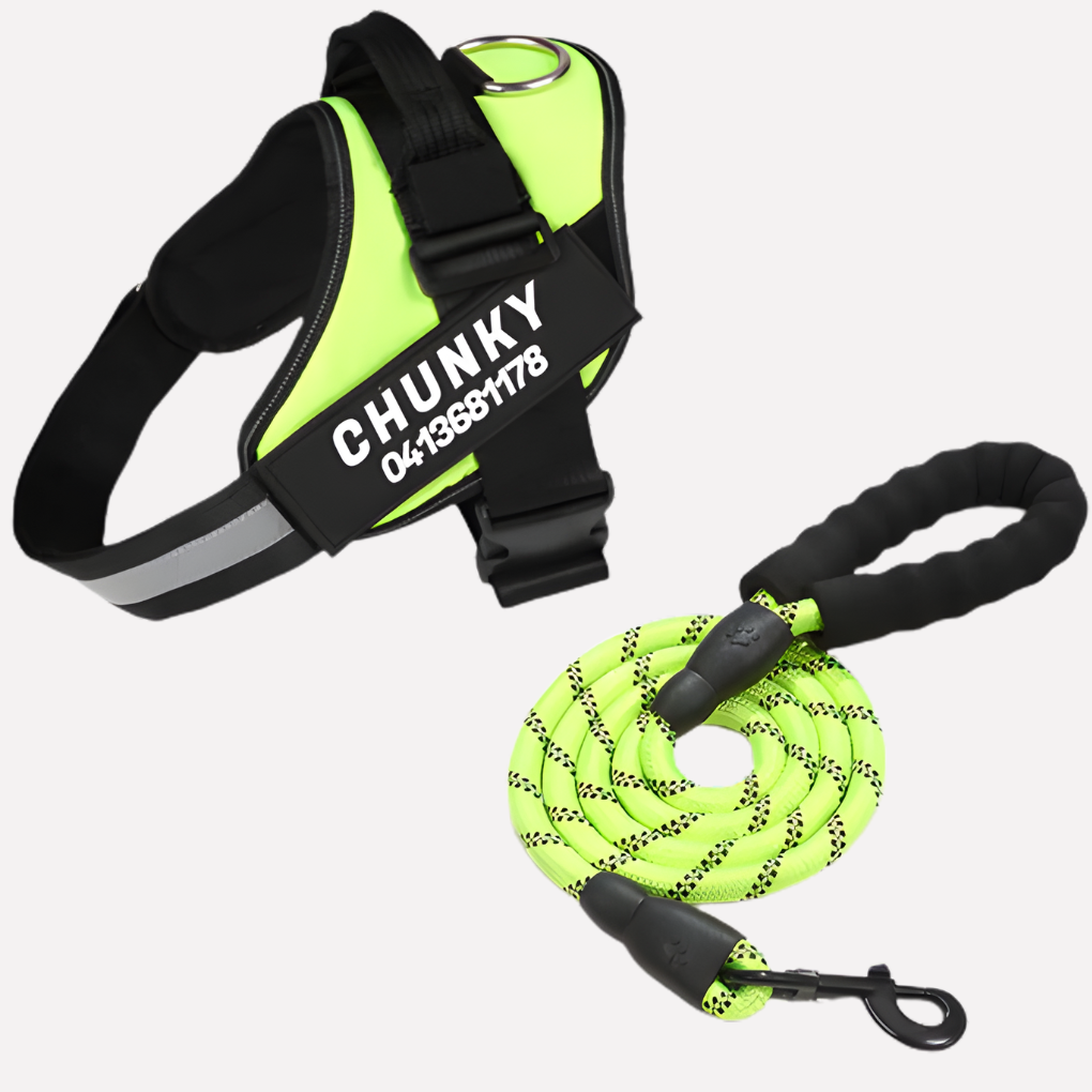 Personalized No-Pull Dog Harness with Front Clip | Ka-mostore