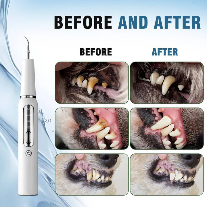 Pet Oral Cleaning Tool for Fresh Breath & Grooming Care | Ka-mostore