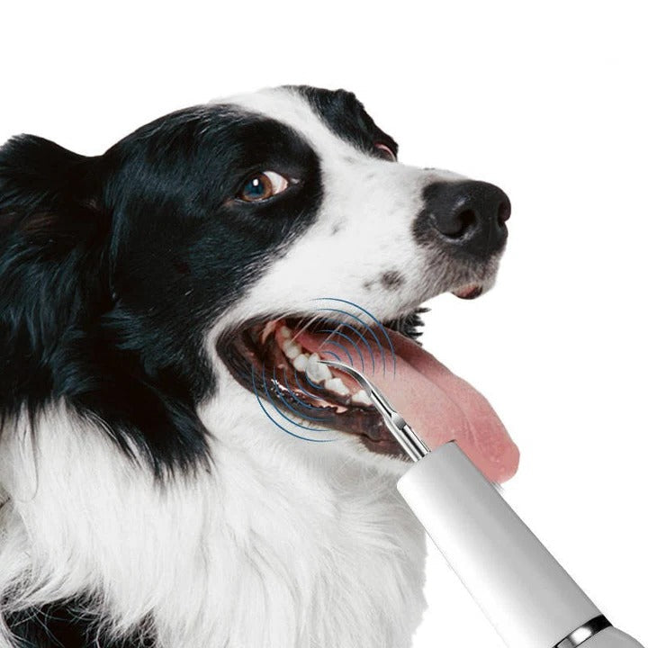 Pet Oral Cleaning Tool for Fresh Breath & Grooming Care | Ka-mostore