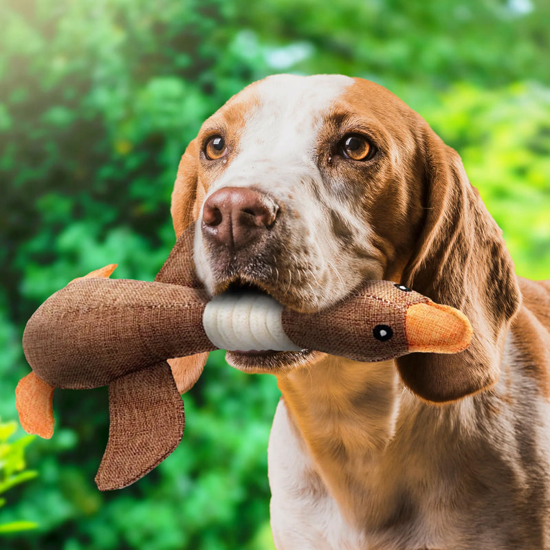 Soft Duck Squeaker Toy for Playtime & Cuddles | Ka-mostore
