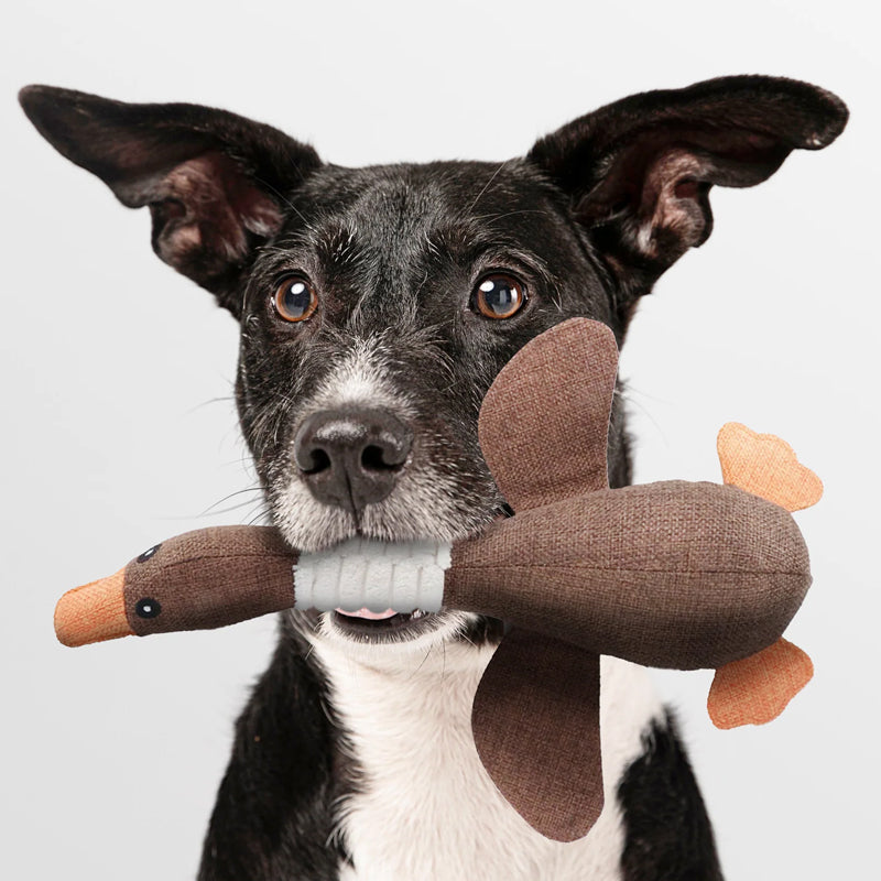 Soft Duck Squeaker Toy for Playtime & Cuddles | Ka-mostore