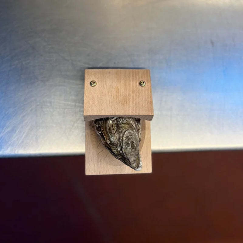 Premium wood handle oyster shell opener clamp | Ka-mostore
