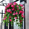 Realistic, UV-resistant artificial morning glory - Buy one, get one! | Ka-mostore