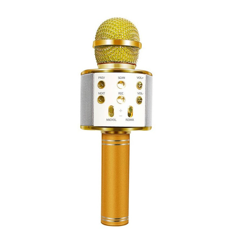 Rechargeable Wireless Bluetooth Karaoke Microphone | Ka-mostore