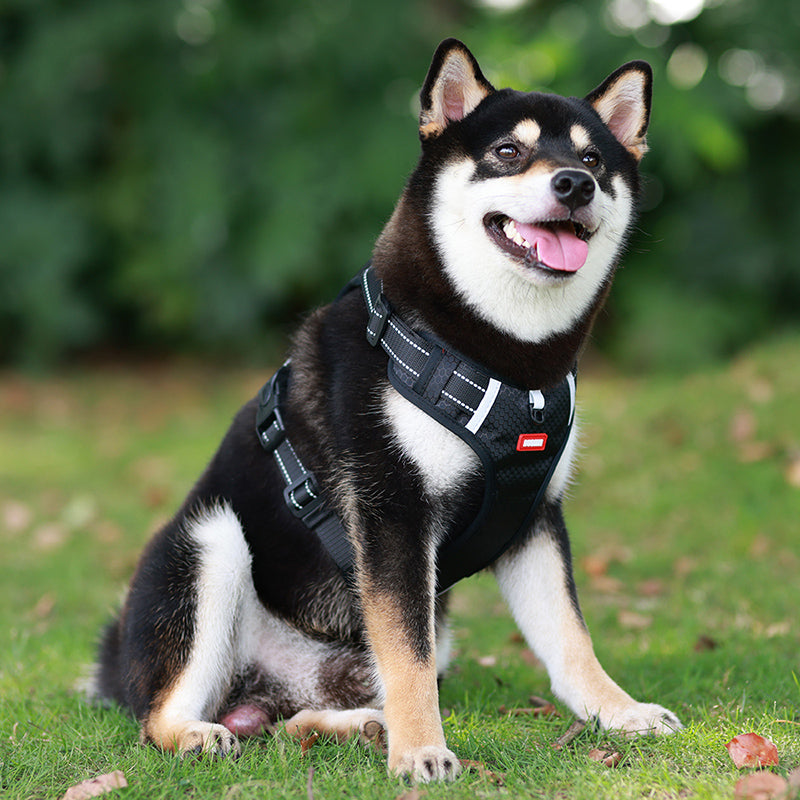 Secure Dog Vest | Adjustable No-Pull Control Harness | Ka-mostore