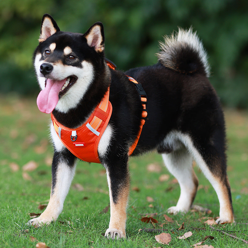 Secure Dog Vest | Adjustable No-Pull Control Harness | Ka-mostore