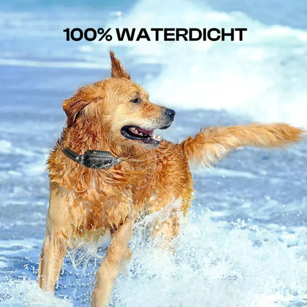 Remote Dog Training Collar with Long Range | Ka-mostore