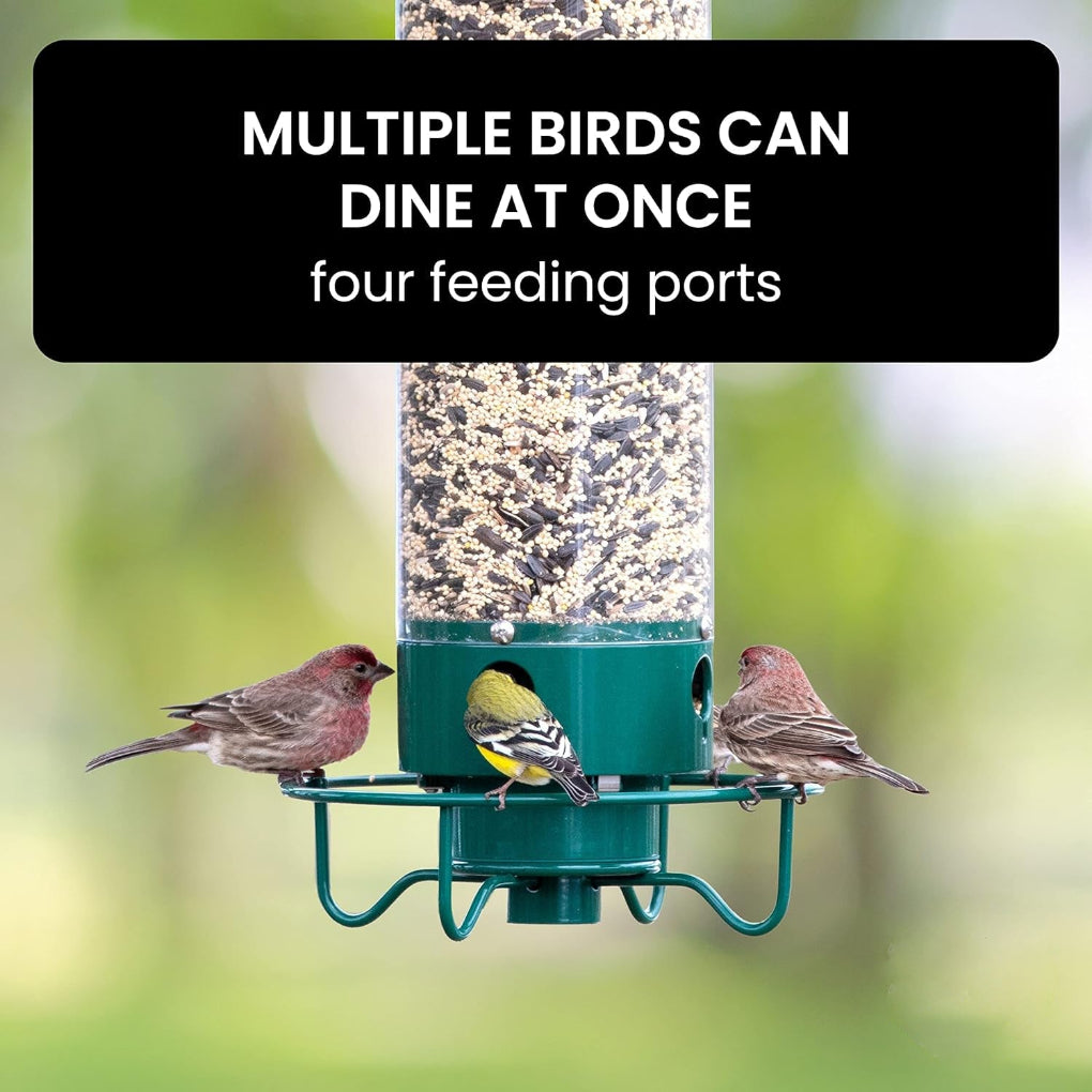 Squirrel-Proof Bird Feeder with Multiple Feeding Ports | Ka-mostore