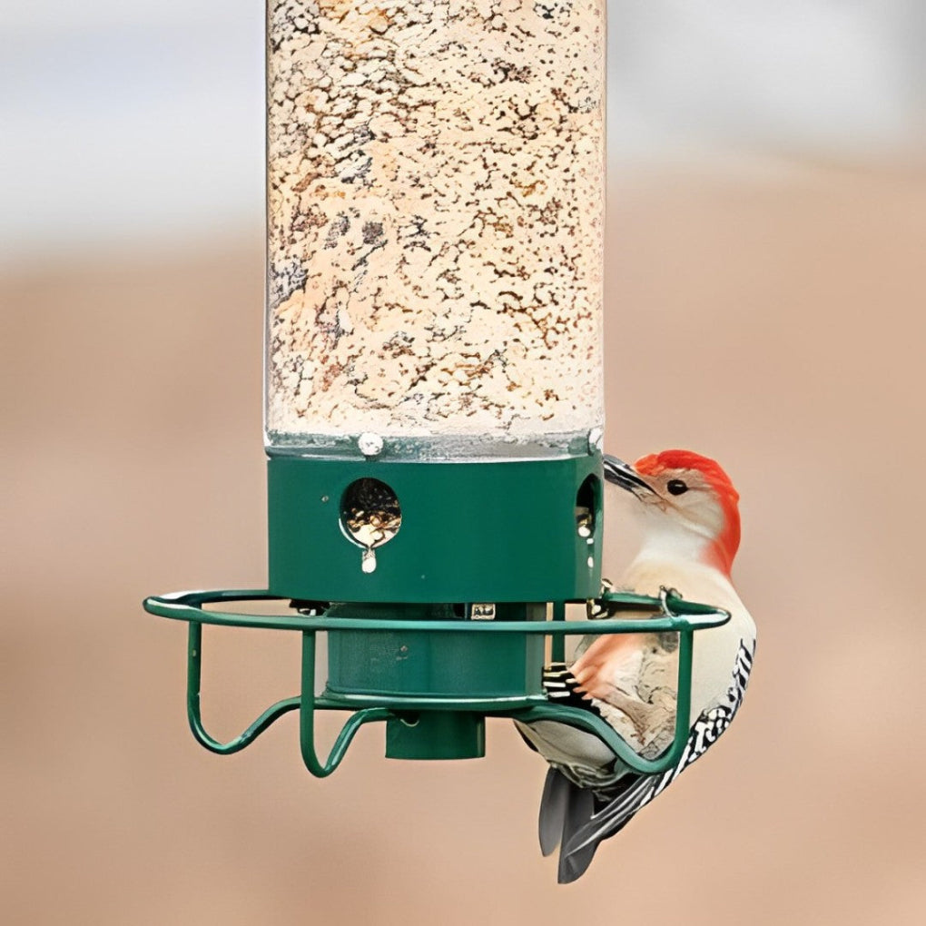 Squirrel-Proof Bird Feeder with Multiple Feeding Ports | Ka-mostore