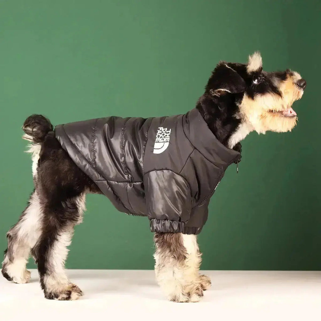 سترة وجه الكلب - النوع A | Ka-mostore