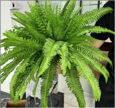 UV Resistant Faux Boston Fern Plant | Ka-mostore