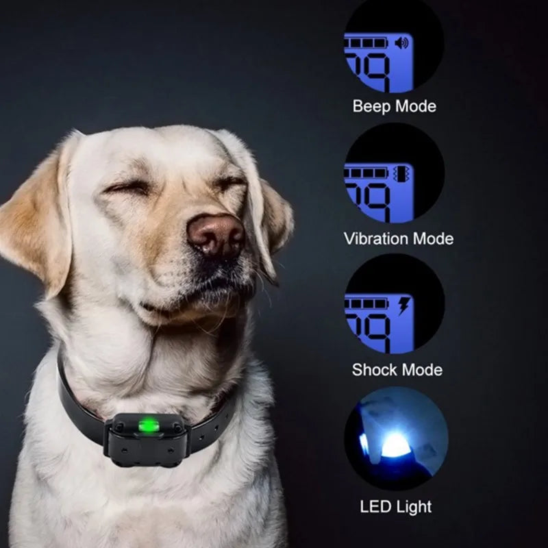 Norvo | Electric Training Collar for Dogs E-collar – Safe, Effective, Remote Control | Ka-mostore
