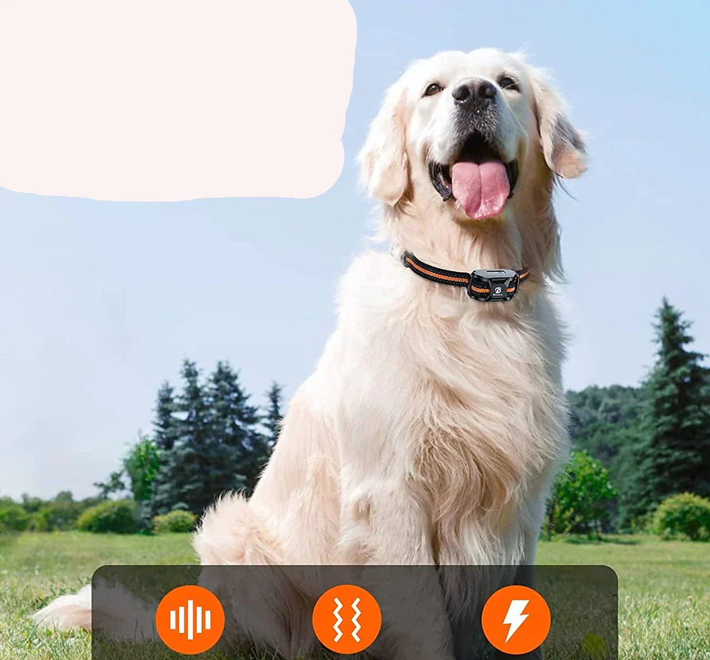 NovaPace 1000m Remote Dog Training Collar, Waterproof | Ka-mostore