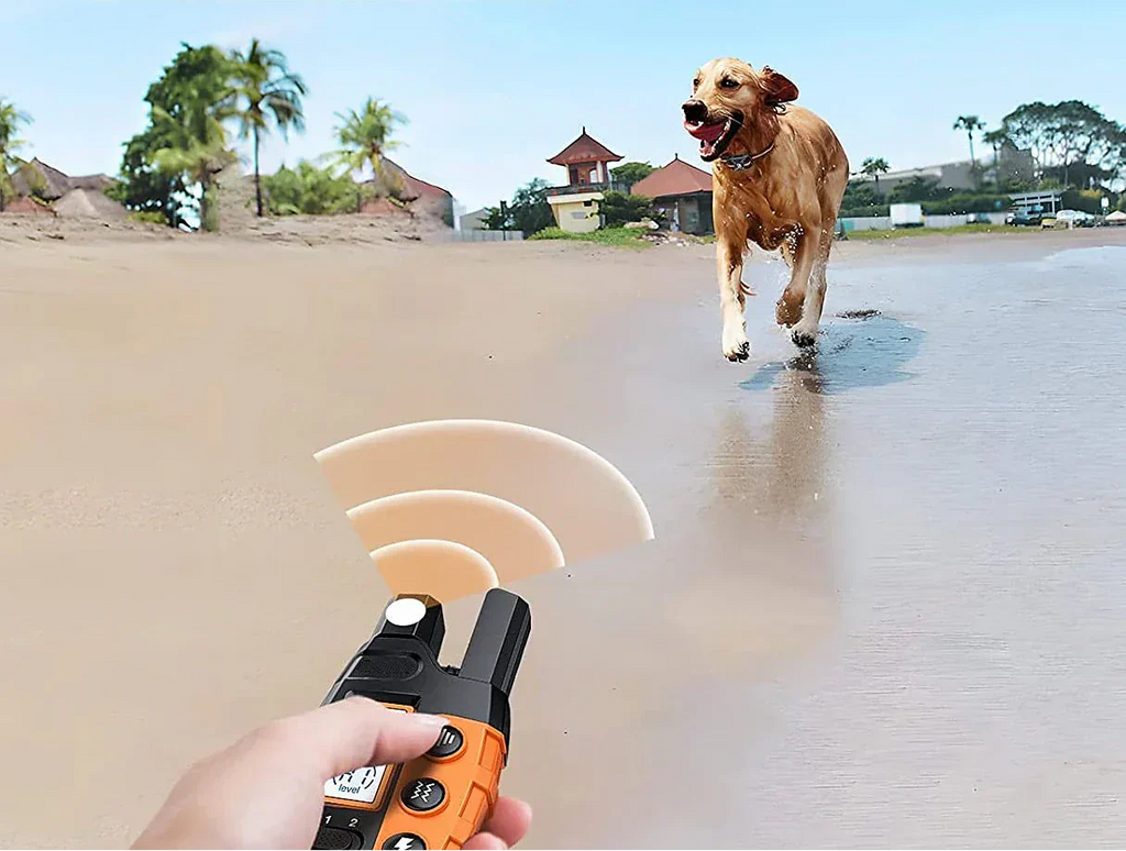 NovaPace 1000m Remote Dog Training Collar, Waterproof | Ka-mostore