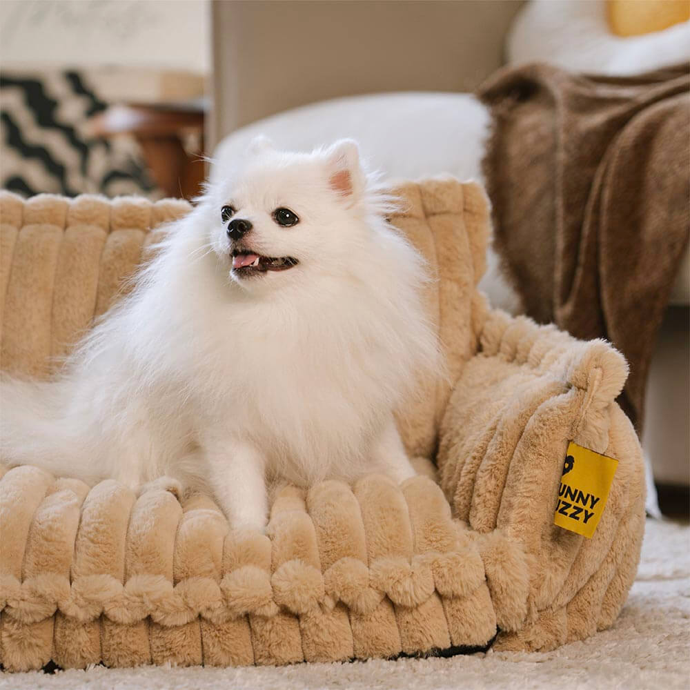 Orthopedic Dog Bed CaniSofa – Joint Support, Washable Cover, Comfortable Headrest | Ka-mostore