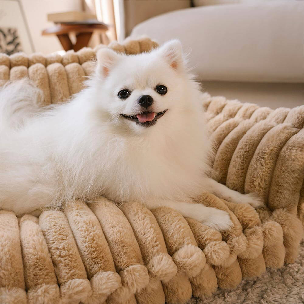 Orthopedic Dog Bed CaniSofa – Joint Support, Washable Cover, Comfortable Headrest | Ka-mostore
