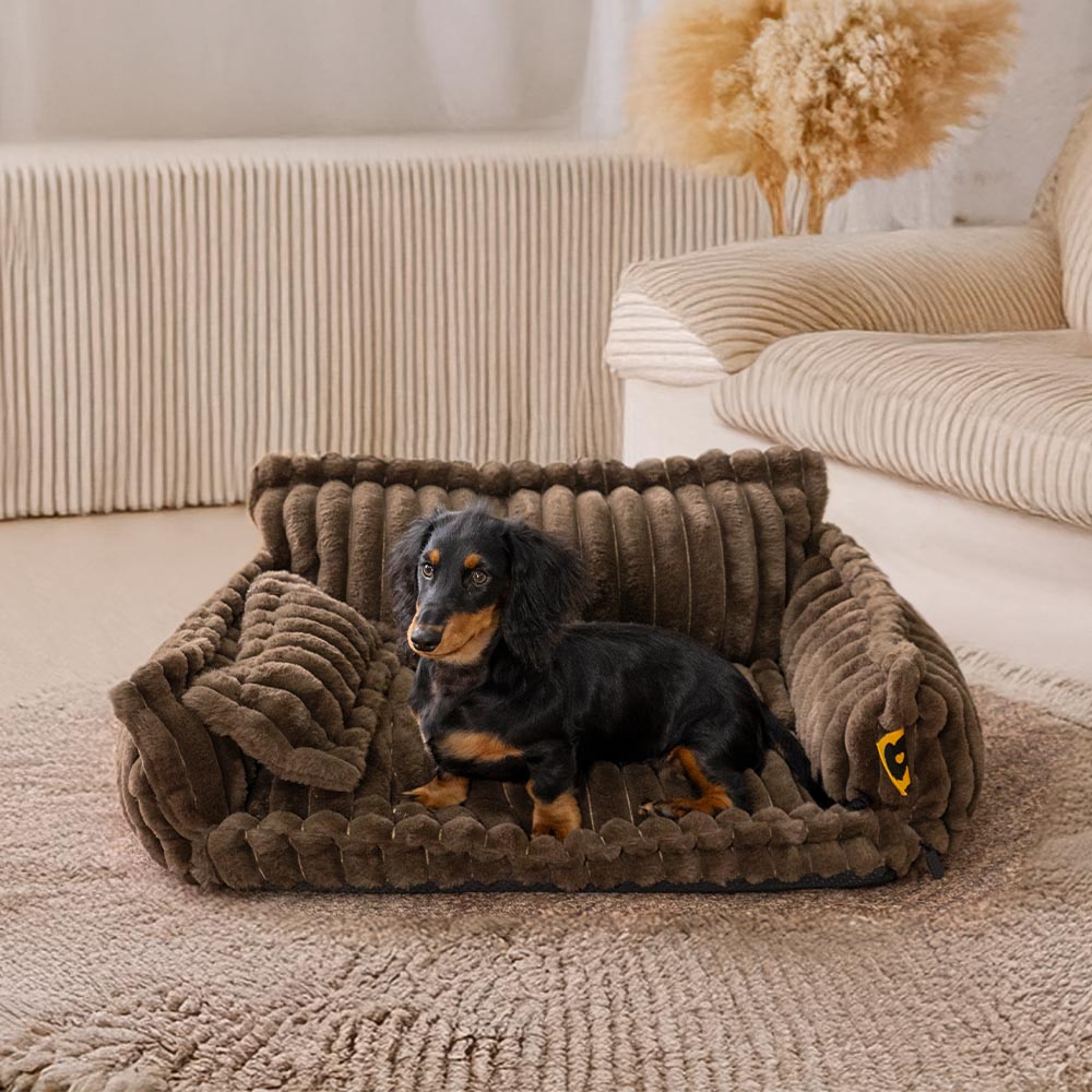 Orthopedic Dog Bed CaniSofa – Joint Support, Washable Cover, Comfortable Headrest | Ka-mostore