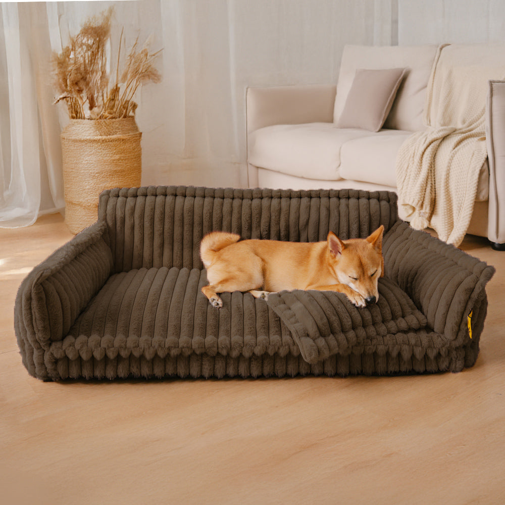 Orthopedic Dog Bed CaniSofa – Joint Support, Washable Cover, Comfortable Headrest | Ka-mostore