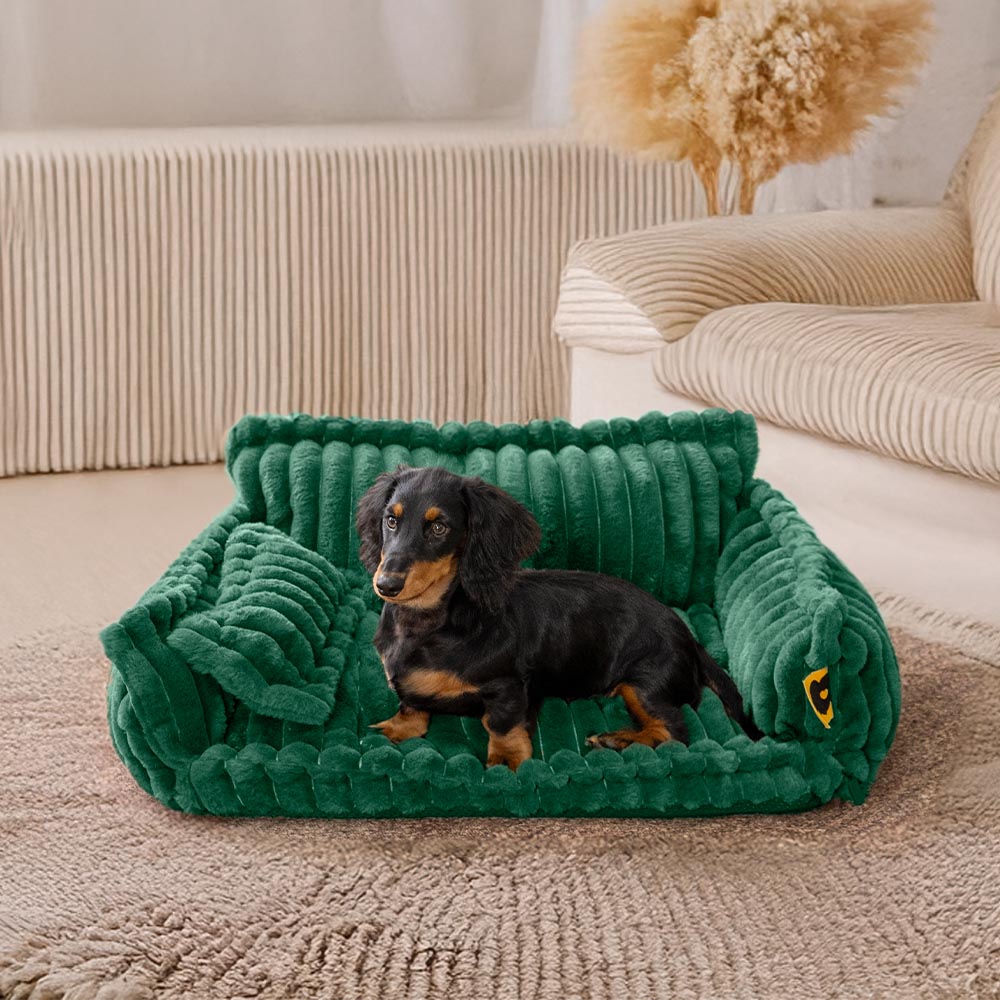 Orthopedic Dog Bed CaniSofa – Joint Support, Washable Cover, Comfortable Headrest | Ka-mostore