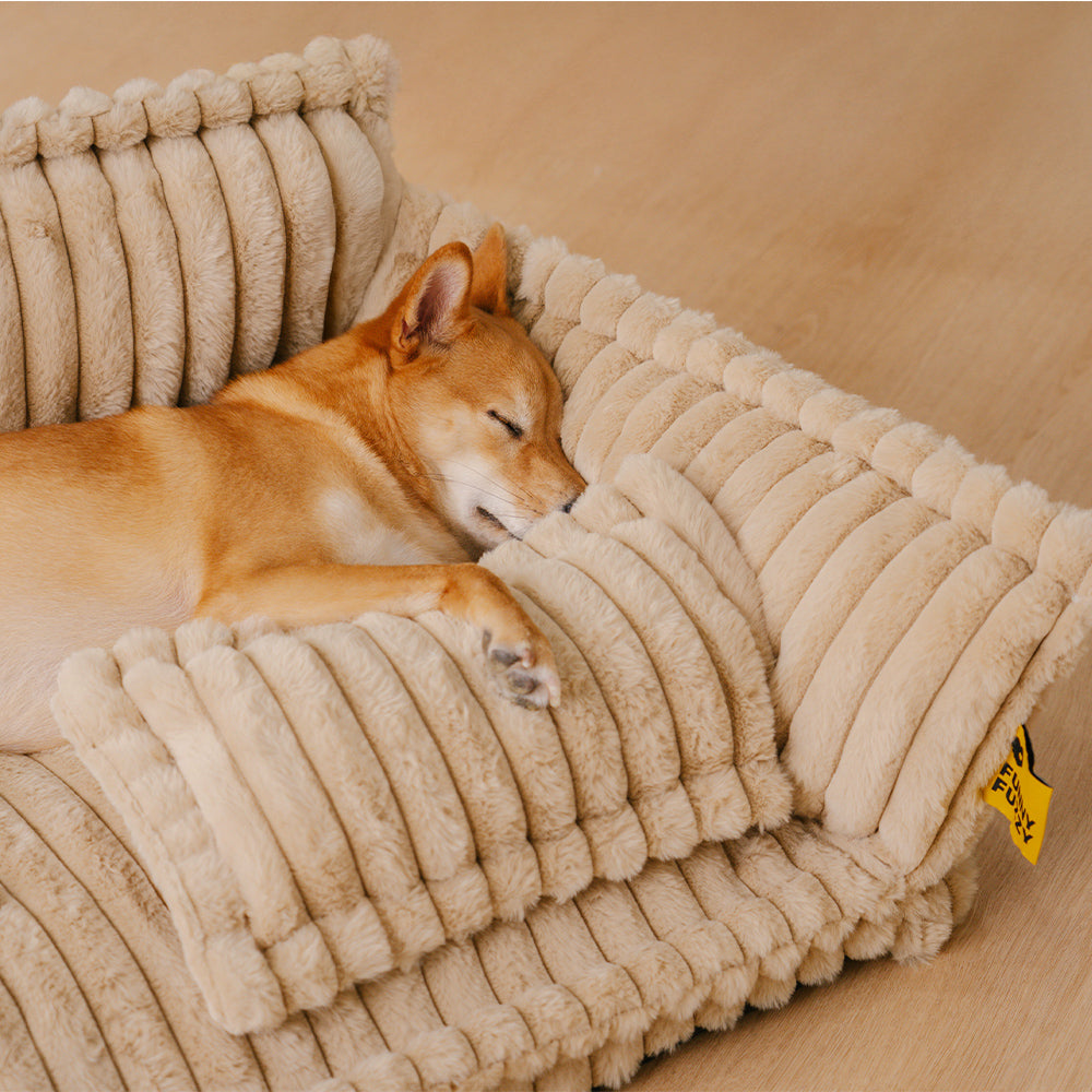Orthopedic Dog Bed CaniSofa – Joint Support, Washable Cover, Comfortable Headrest | Ka-mostore