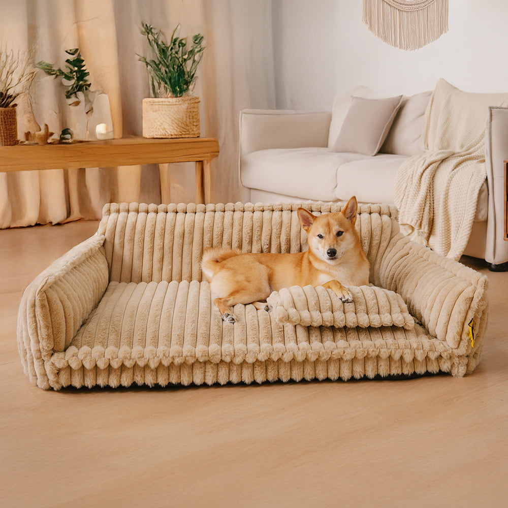 Orthopedic Dog Bed CaniSofa – Joint Support, Washable Cover, Comfortable Headrest | Ka-mostore