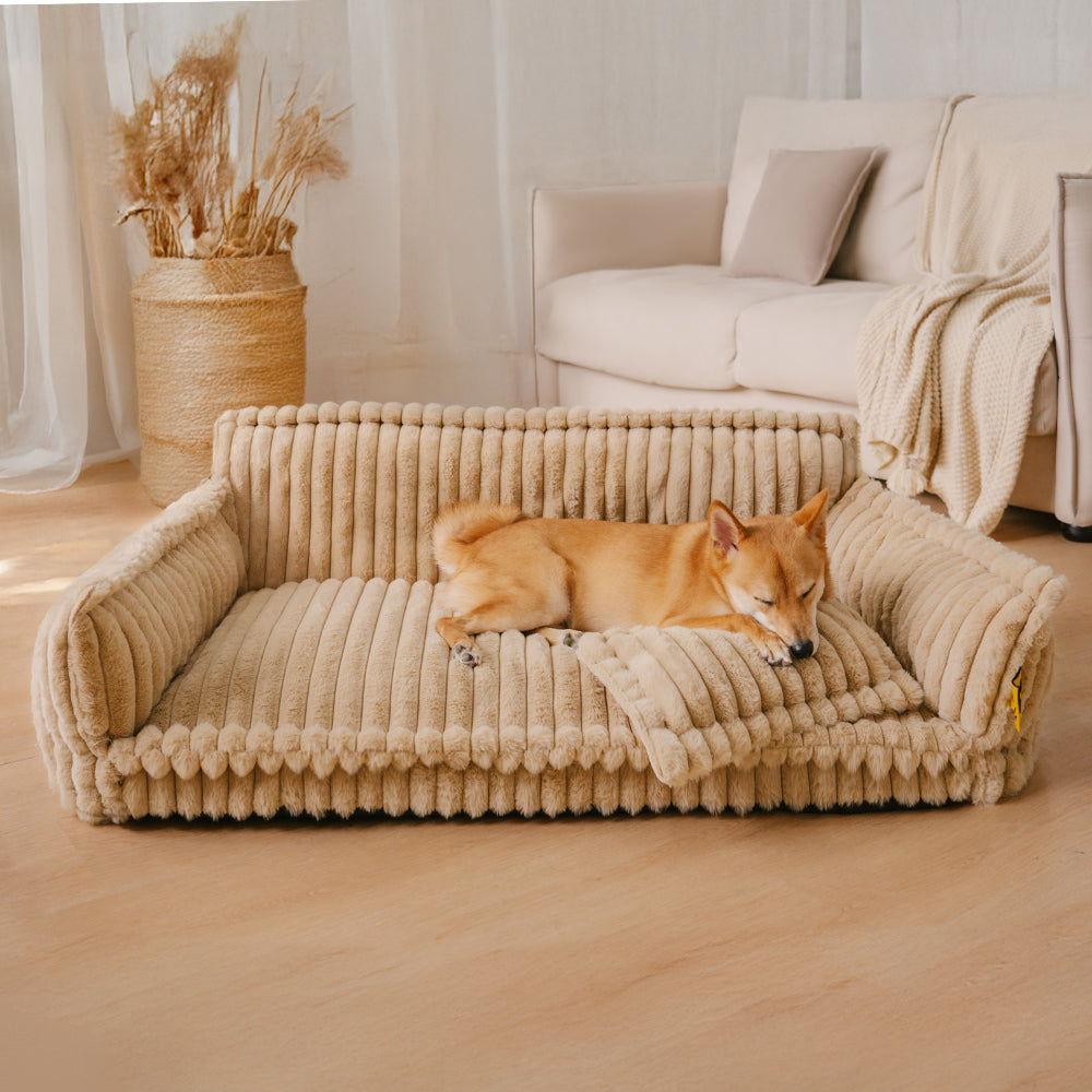 Orthopedic Dog Bed CaniSofa – Joint Support, Washable Cover, Comfortable Headrest | Ka-mostore