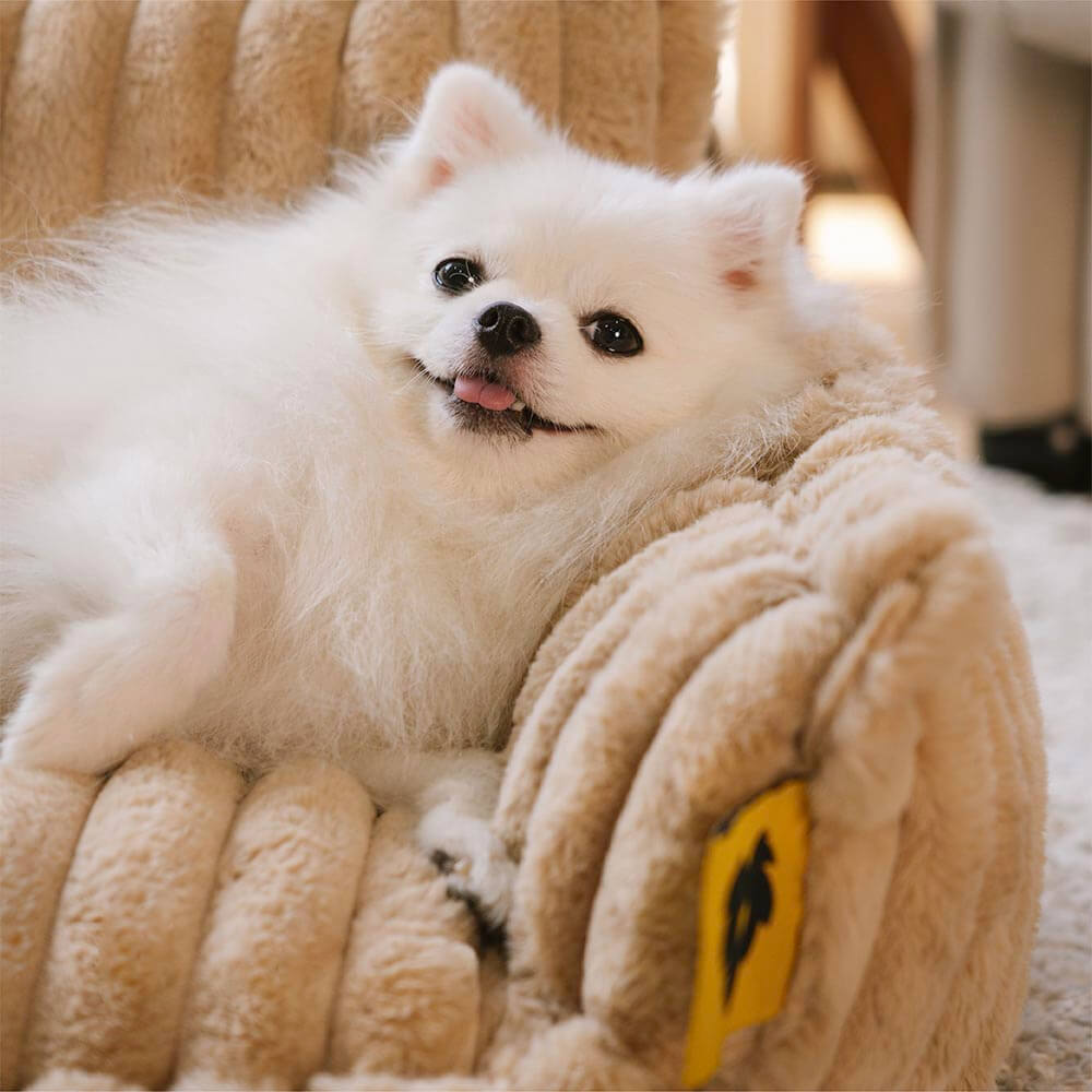 Orthopedic Dog Bed CaniSofa – Joint Support, Washable Cover, Comfortable Headrest | Ka-mostore