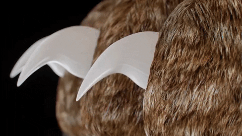 PawGuard Pro Nail Clippers with Smart Quick Sensors | Ka-mostore