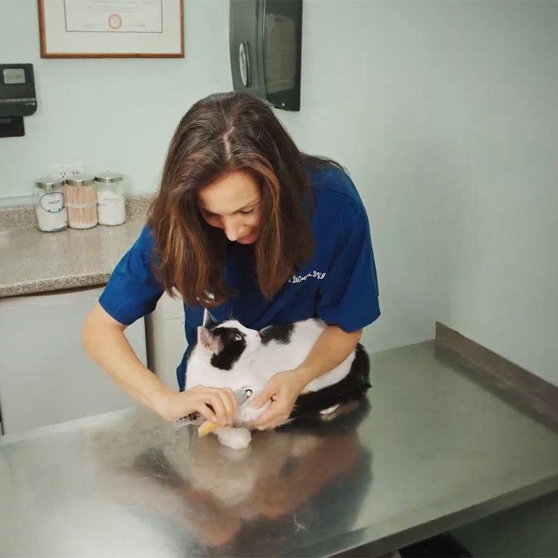 PawGuard Pro Nail Clippers with Smart Quick Sensors | Ka-mostore