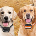 Canine Training Collar With 1000m Range, 3 Modes, Rechargeable IP67 Waterproof For Dogs