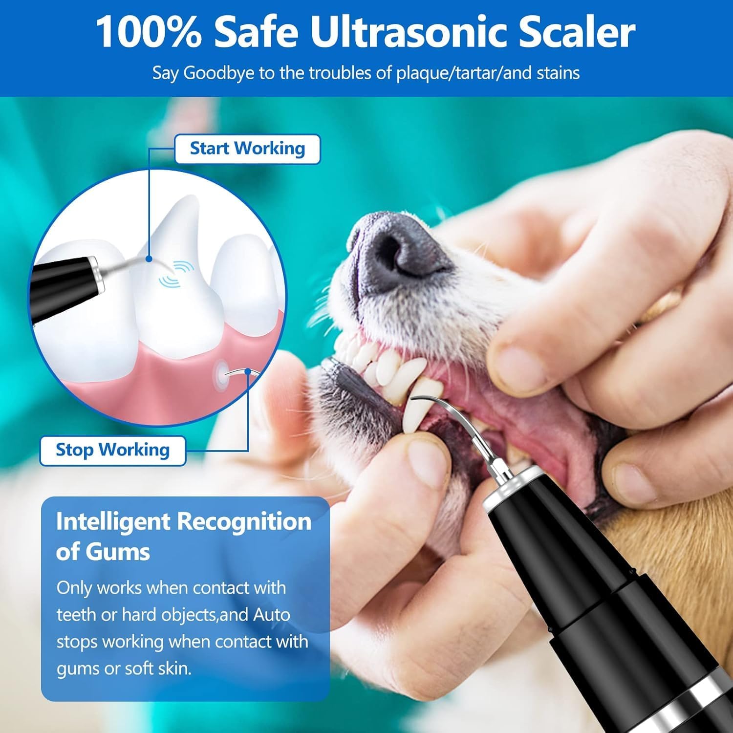 Pet Ultrasonic Tooth Cleaner for Dogs and Cats Pro Dental Cleaning