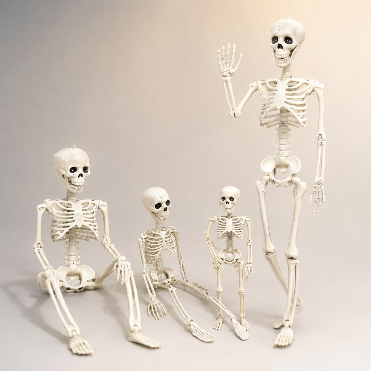 Decoración de esqueleto articulado para Halloween - articulaciones móviles para crear exhibiciones personalizadas, sentado o de pie