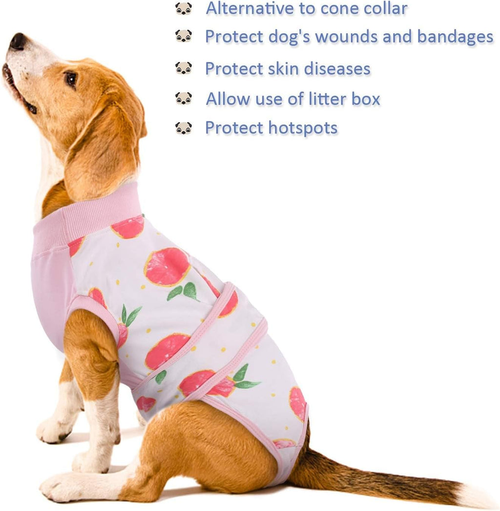 Pet Post-Surgery Healing Garment | Ka-mostore