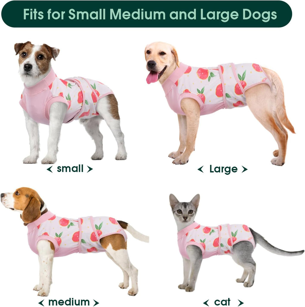 Pet Post-Surgery Healing Garment | Ka-mostore