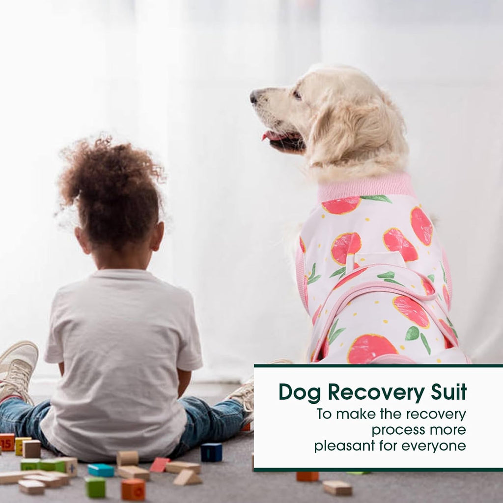 Pet Post-Surgery Healing Garment | Ka-mostore