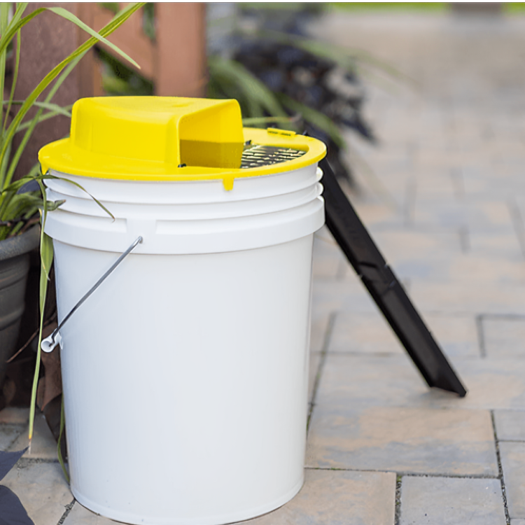 Reusable Bucket Lock Rodent Trap | Ka-mostore