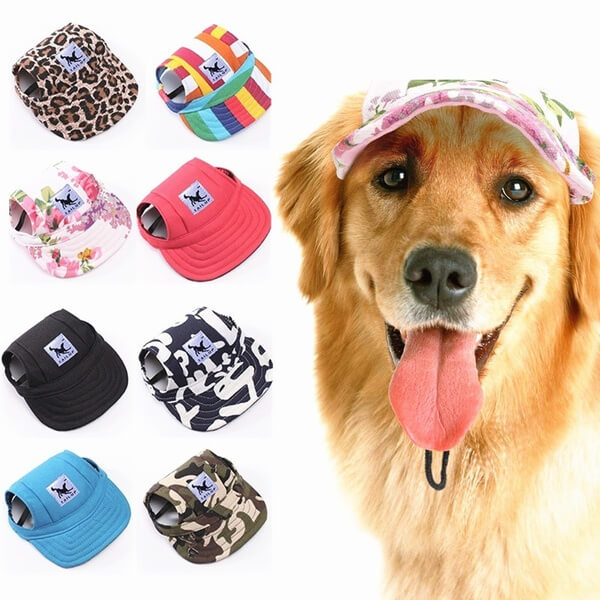 Round Edge Dog Hat | Ka-mostore