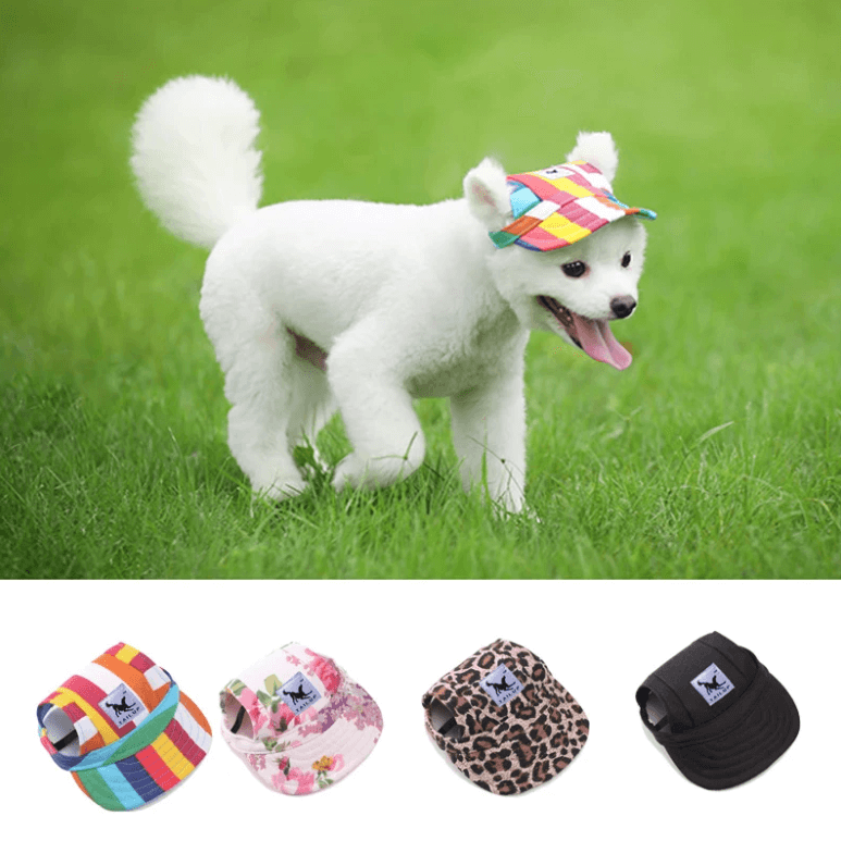 Round Edge Dog Hat | Ka-mostore
