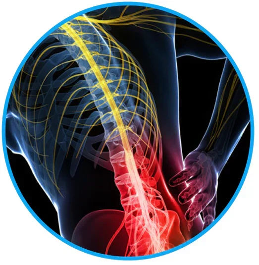 Sciatica Relief Belt for Back & Hip Pain | Ka-mostore