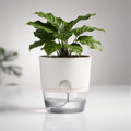 Vaso per fiori con irrigazione automatica Dochtara — Serbatoio d’acqua integrato, controllo uniforme dell’umidità