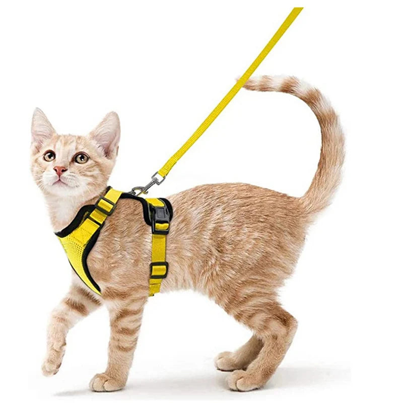 Secure and Comfortable Cat Walking Harness | Ka-mostore