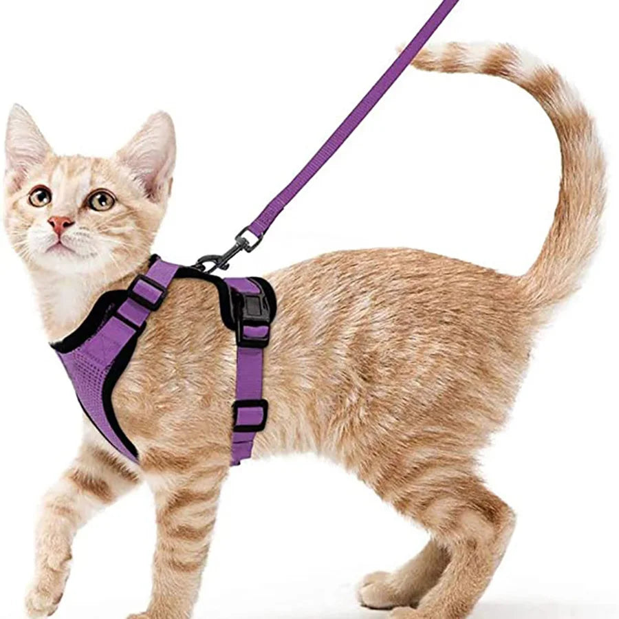 Secure and Comfortable Cat Walking Harness | Ka-mostore