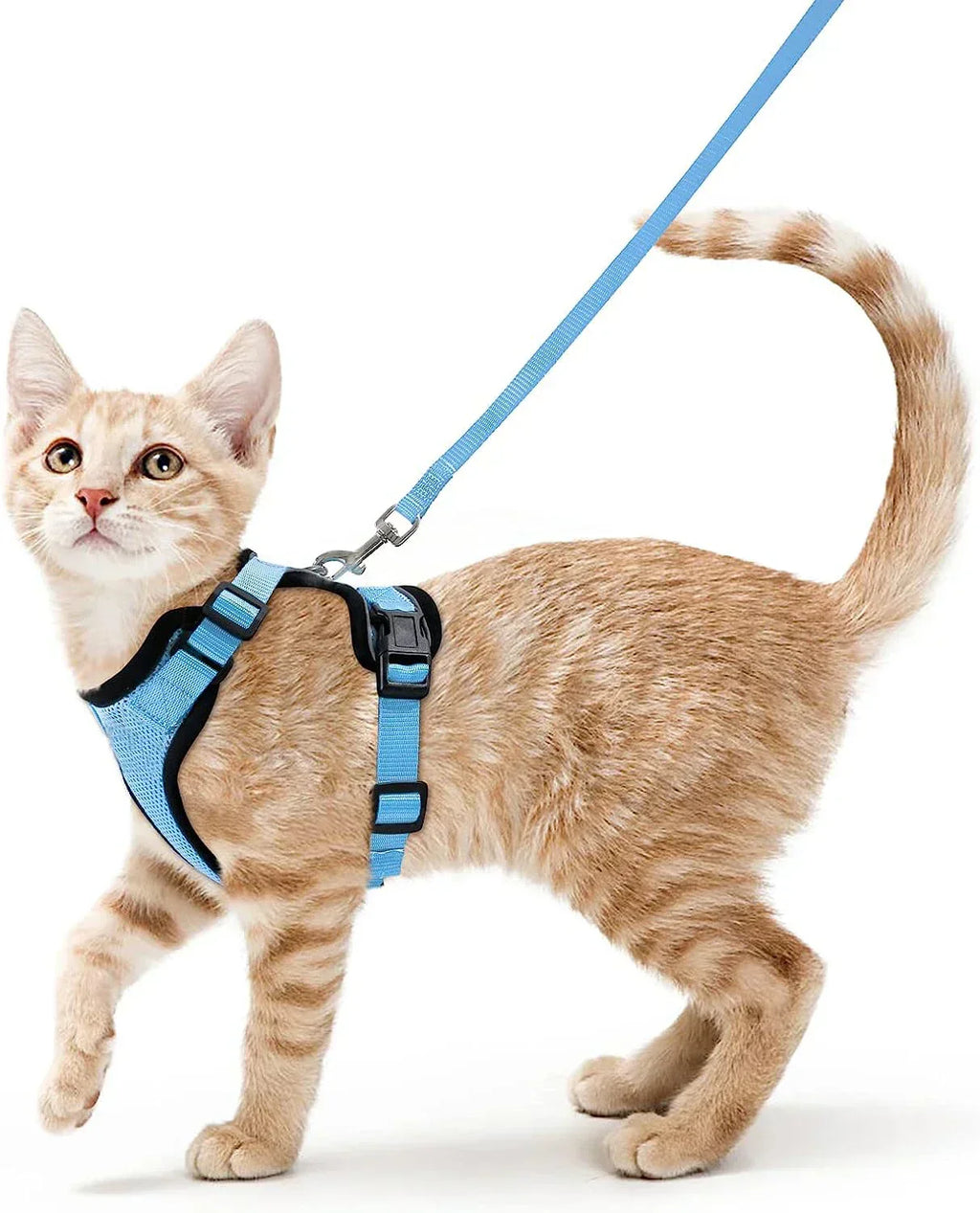 Secure and Comfortable Cat Walking Harness | Ka-mostore