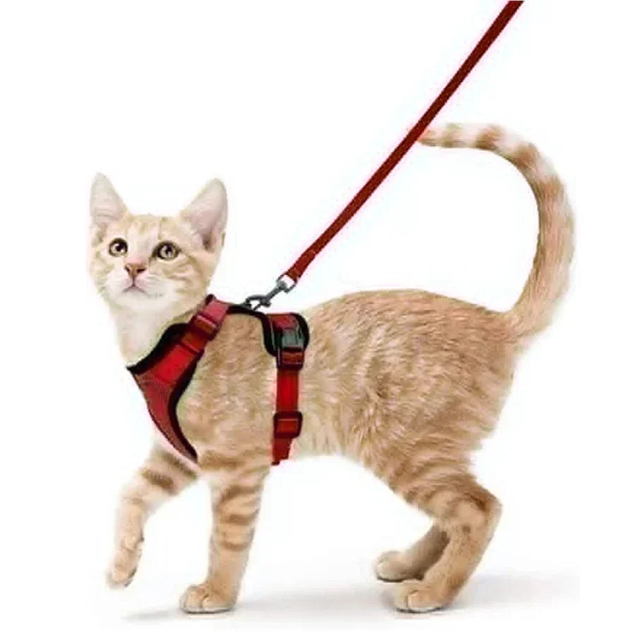 Secure and Comfortable Cat Walking Harness | Ka-mostore