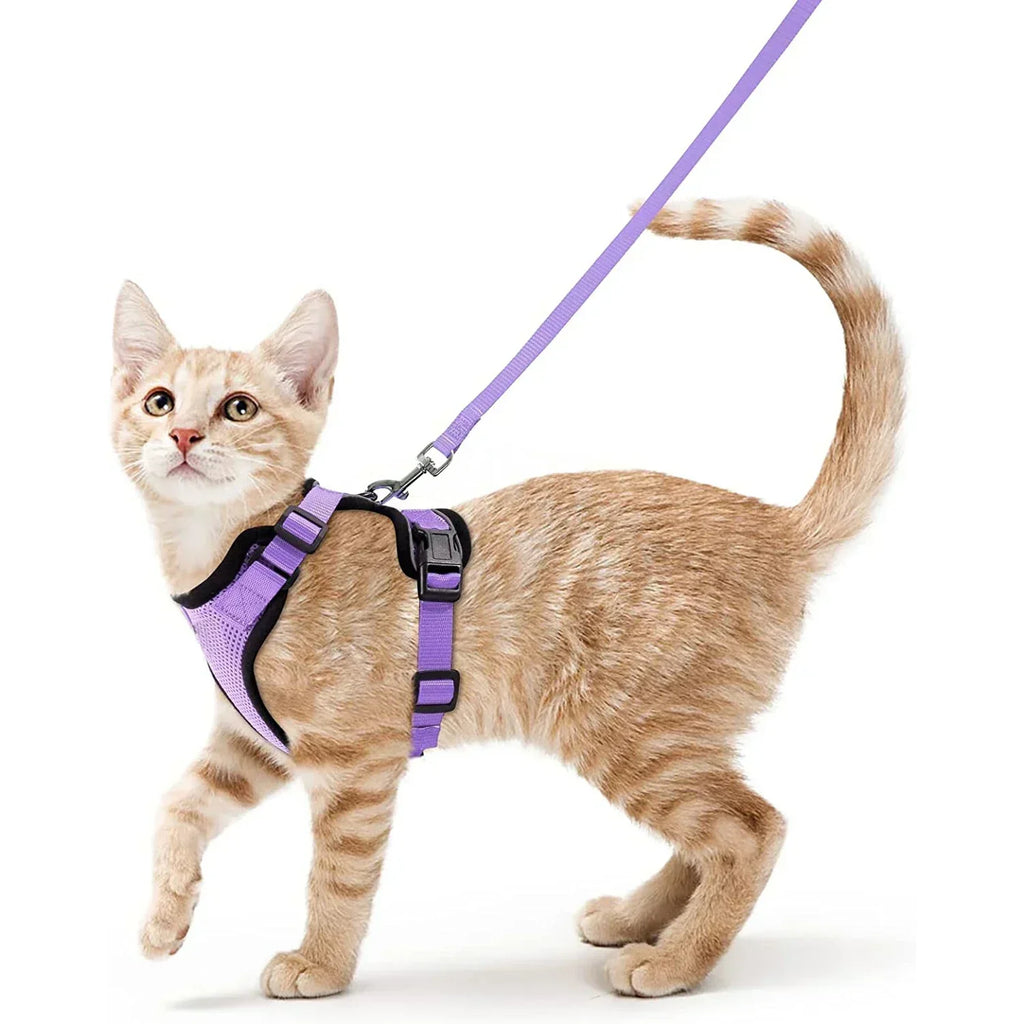 Secure and Comfortable Cat Walking Harness | Ka-mostore